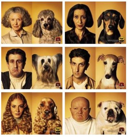 chiens_et_maitres.JPG, janv. 2010