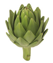 artichaud.jpg, oct. 2012